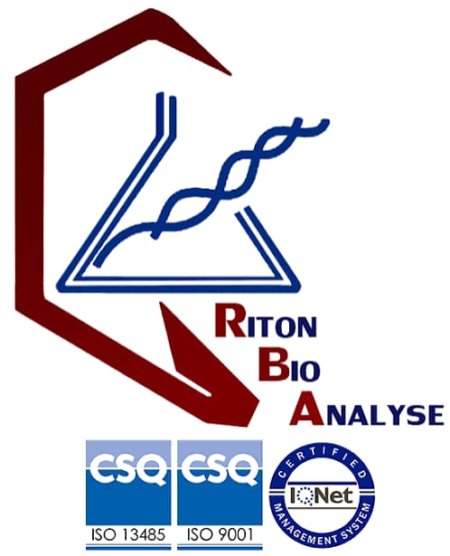 riton